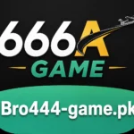 666A feature image