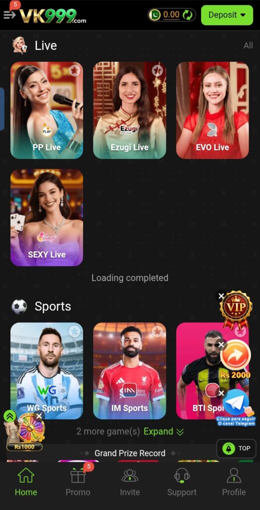 VK 999 game
