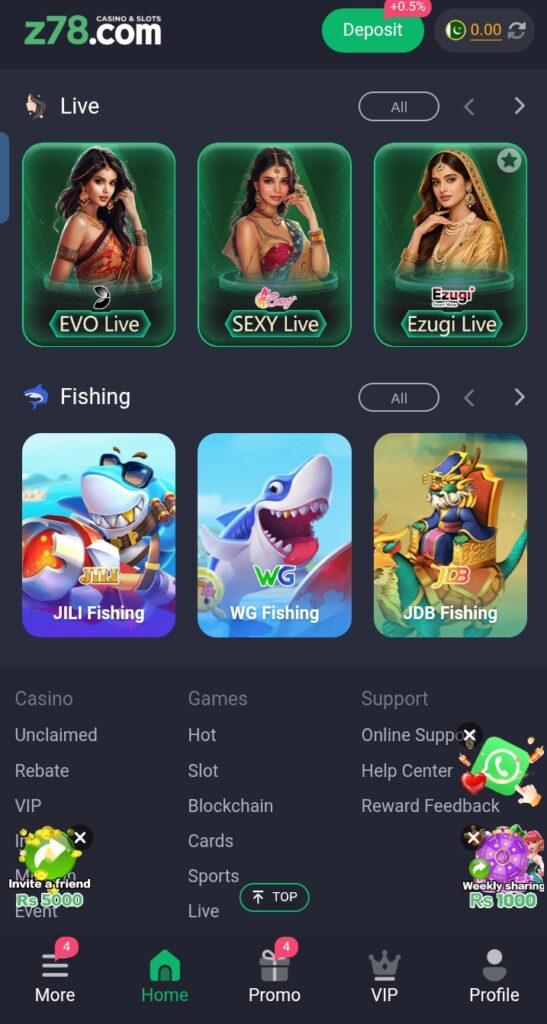Z 78 game